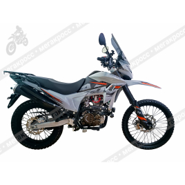 Мотоцикл Regulmoto TE PRO NB300 с ПТС 