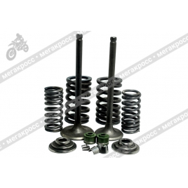 Клапаны компл. TTR 250 L-90/d-34 + L-91/d-31.5 сальники + пружины + сухари