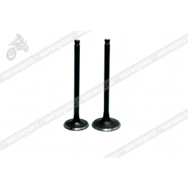 Клапаны YX153-23 FMC162 CG 150
