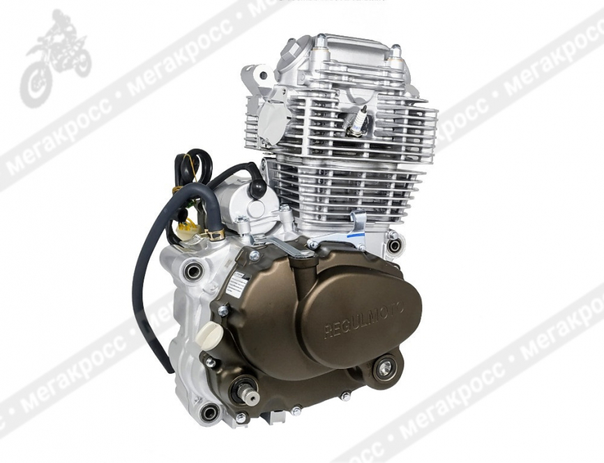Двигатель ZS 172FMM фото 2